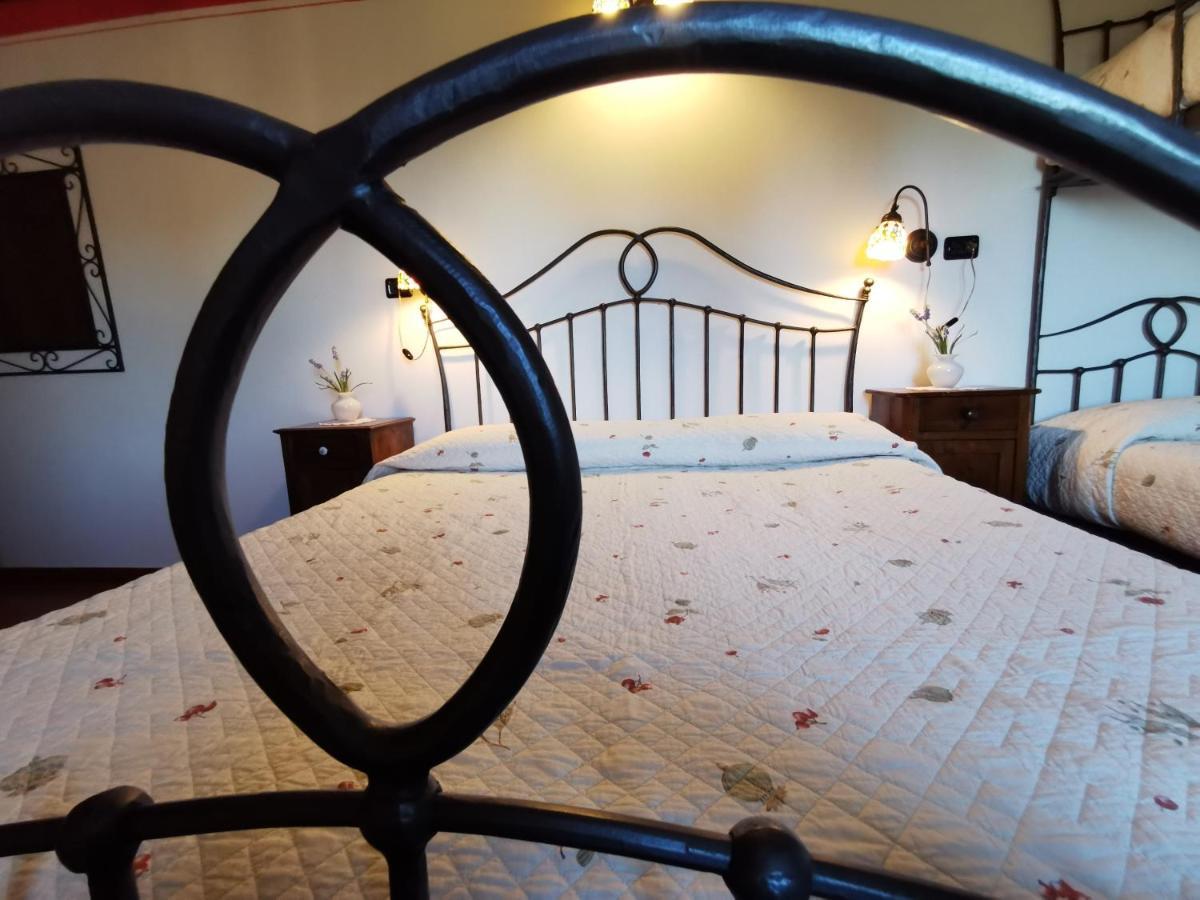Bed and Breakfast Casale Dei Gelsi Castiglione In Teverina Zewnętrze zdjęcie