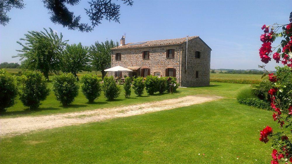 Bed and Breakfast Casale Dei Gelsi Castiglione In Teverina Zewnętrze zdjęcie